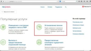 Как подать заявление на сайте госуслуги по уходу за престарелыми
