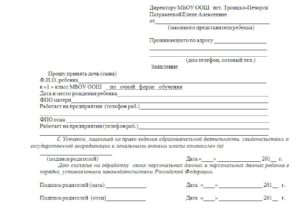 Образец заявление на подготовку к школе
