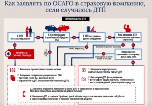 В течение какого времени выплачивают деньги по осаго
