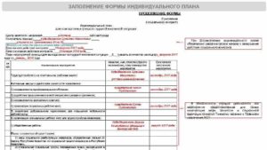 Программа социальной адаптации малоимущей семьи образец заполнения