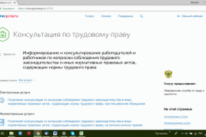 Жалоба на налоговую инспекцию через госуслуги