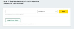 Проверить судимость онлайн по паспорту
