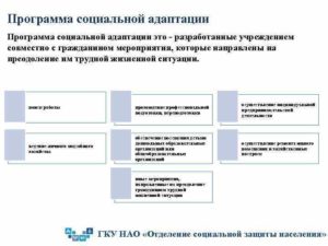 Программа социальной адаптации малоимущей семьи образец заполнения
