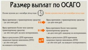 В течение какого времени выплачивают деньги по осаго