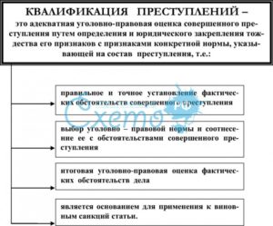 Основные функции состава преступления при квалификации преступлений