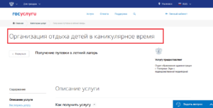 Запись в загородные лагеря на госуслугах начинается