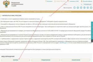 Жалоба в фас по электронной почте
