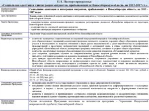 Программа социальной адаптации малоимущей семьи образец заполнения