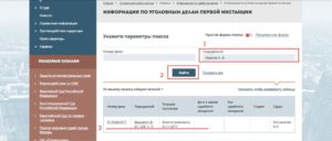 Проверить судимость онлайн по паспорту